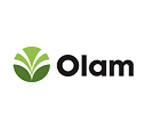 Olam